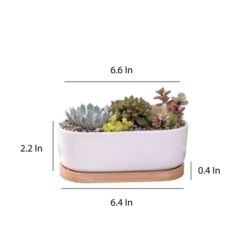 ClaudiaG Succulent Planter -Elongated