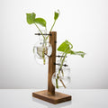 Terrarium Hydroponic Plant Vases Vintage Flower Pot Transparent Vase Wooden Frame Glass Tabletop Plants Home Bonsai Decor